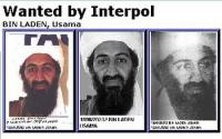 Bin Laden Interpol most wanted