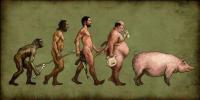 Evolucija muškarca