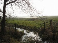 Cantley Marshes