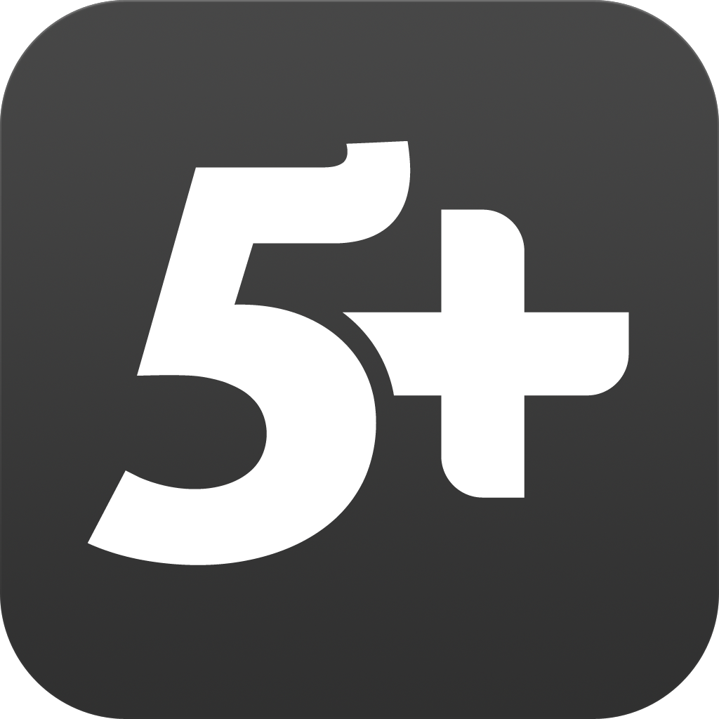 5+ Иконка. Пятёрка с плюсом. Логотип 5+. Эмблема пять с плюсом.